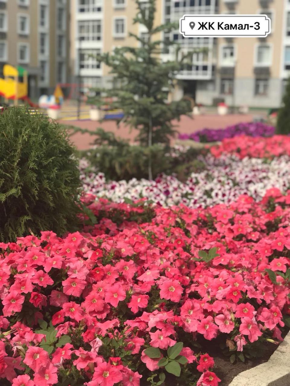 Однокомнатная Astana Dış mekan fotoğraf